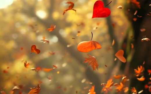 1754346 (a): :1920x1200